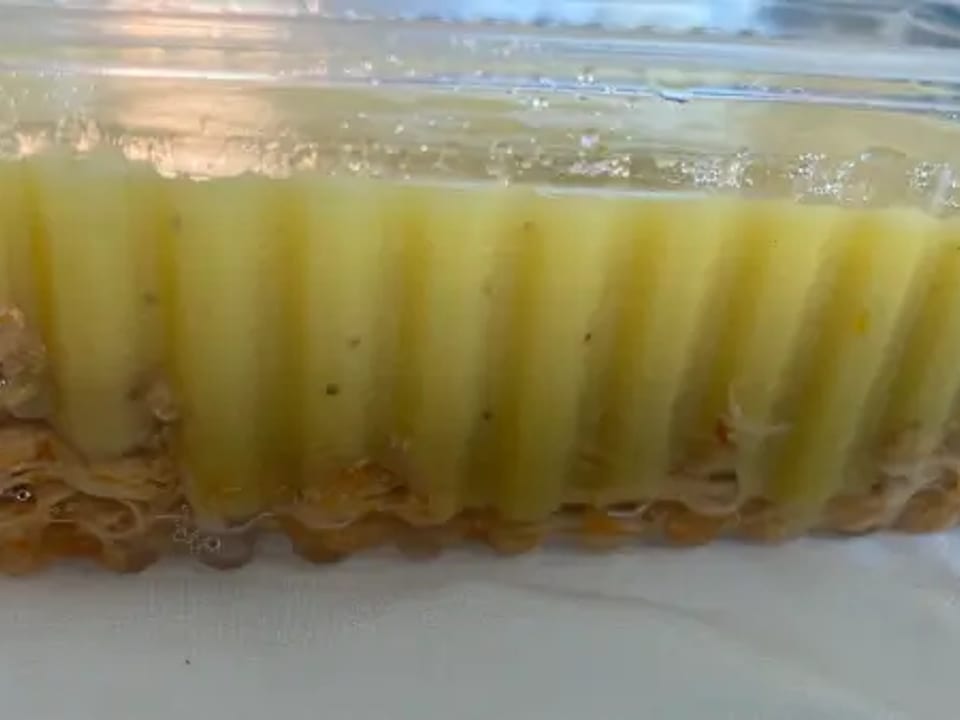 Escondidinho de banana da terra com frango desfiado.