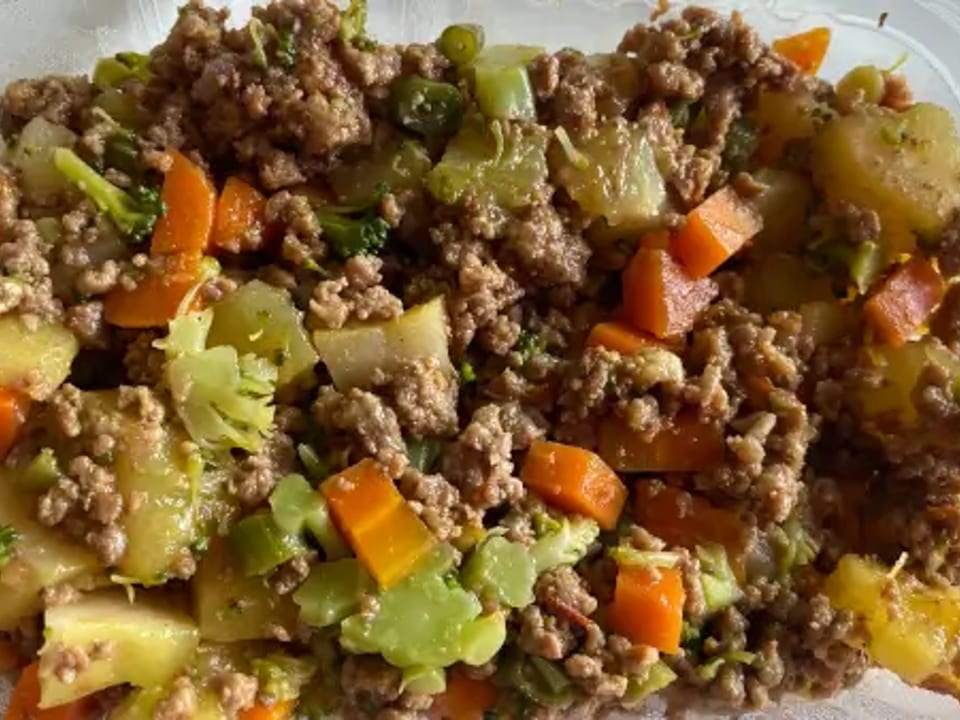 Carne moída, mandioca picadinha e mix de legumes (cenoura, brócolis )